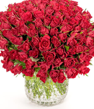 50 Red Roses