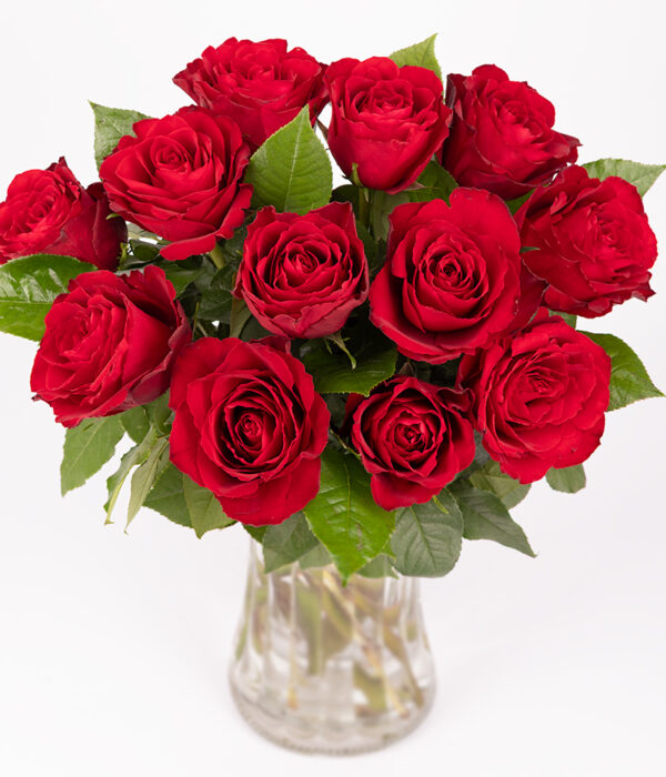Red Roses